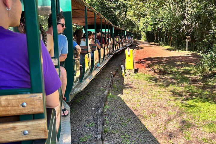 Iguazu Falls Small Group Day Tour, Brazil and Argentina, Tancredo Neves Bridge (1/12)