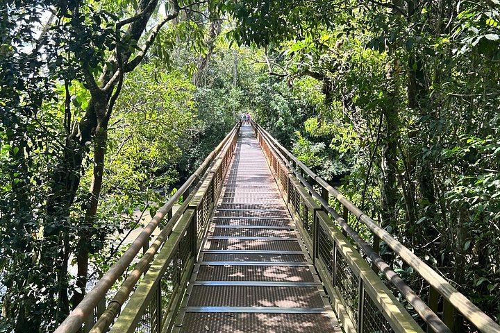 Iguazu Falls Small Group Day Tour, Brazil and Argentina, Tancredo Neves Bridge (8/12)