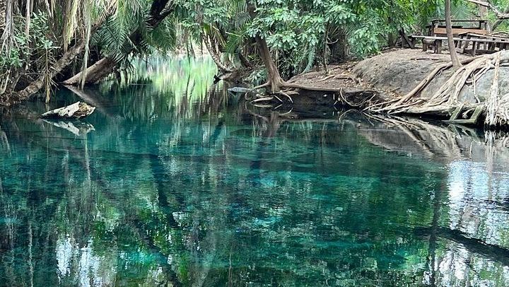 One-Day Materuni Waterfall, Firewood Coffee Roasting and Chemka Hot Spring Tour (2/3)