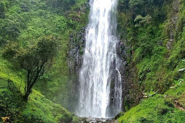 One-Day Materuni Waterfall, Firewood Coffee Roasting and Chemka Hot Spring Tour