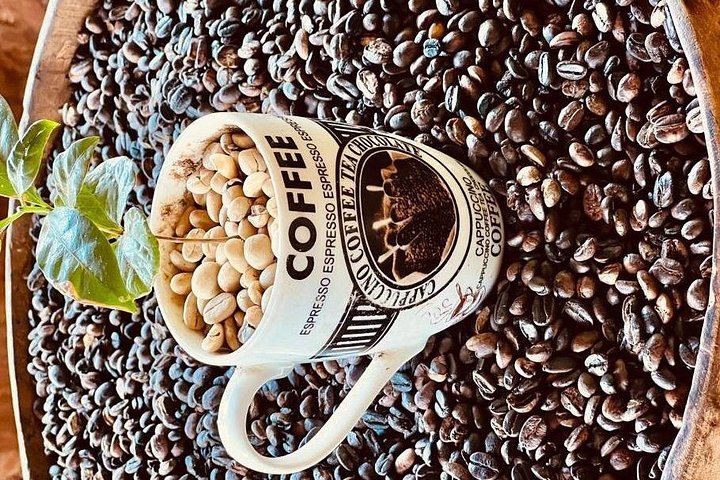 One-Day Materuni Waterfall, Firewood Coffee Roasting and Chemka Hot Spring Tour (1/3)