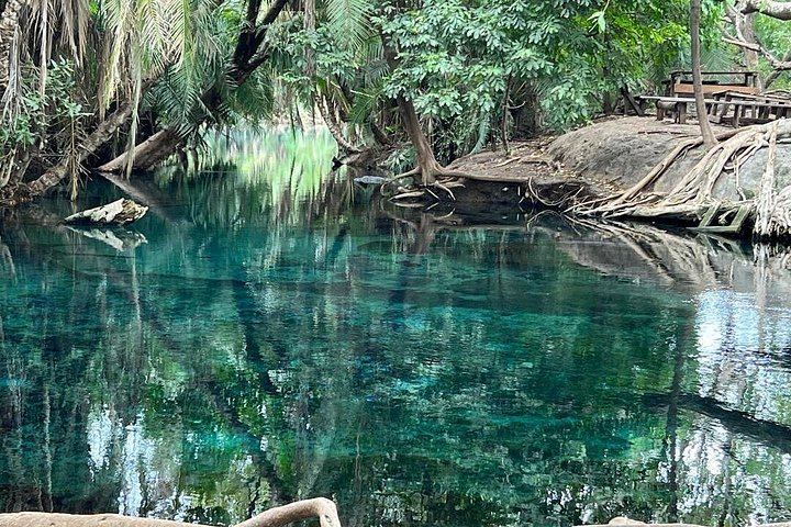 One-Day Materuni Waterfall, Firewood Coffee Roasting and Chemka Hot Spring Tour (2/3)