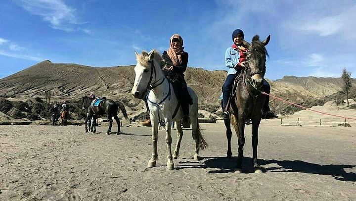 Private Bromo Sunrise, Crater Hike and Madakaripura Waterfall from Malang or Surabaya (1/9)