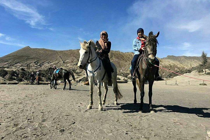 Private Bromo Sunrise, Crater Hike and Madakaripura Waterfall from Malang or Surabaya (1/9)