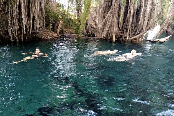 Full-Day Materuni Waterfall, Coffee Tour and Chemka Hot Spring, Hotel or Airport Pickup