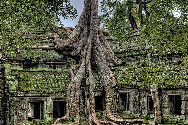 Private 2-Day Angkor Highlights, Bakheng Sunset, Kulen Waterfall and Banteay Srei Tour (5/5)