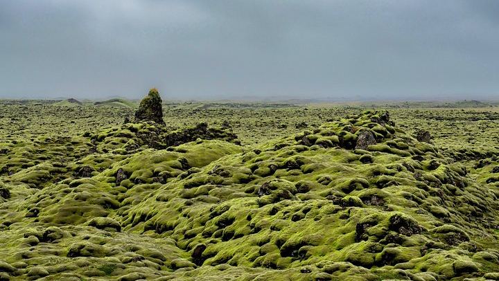 2-Day Summer South Coast Tour with Solheimajokull Glacier Hike and Fjadrargljufur Canyon (4/10)