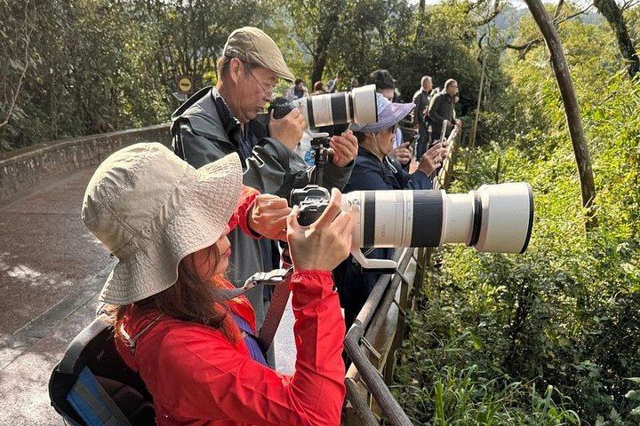 Private Iguazu Falls 2-Day Tour with Hotel Pickup and Border Priority Pass (4/12)