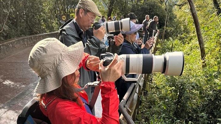 Private Iguazu Falls 2-Day Tour with Hotel Pickup and Border Priority Pass (4/12)