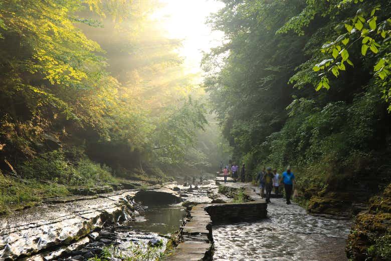 Niagara Falls 2 or 3-Day Tour from NYC with Finger Lakes, Toronto and Thousand Islands (7/10)