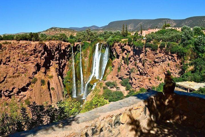 Ouzoud Falls Guided Hike, Olive Groves, Boat Ride and Berber Lunch from Marrakech (7/12)