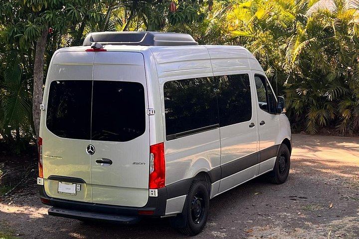 Half-Day Road to Hana by 2025 Mercedes Sprinter: Banana Bread, Turtles and Waterfall Swim (11/12)
