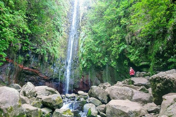 Rabaçal Levada Hike, 17 km: 25 Fontes, Risco and Lagoa do Vento, Harder Small-Group Walk