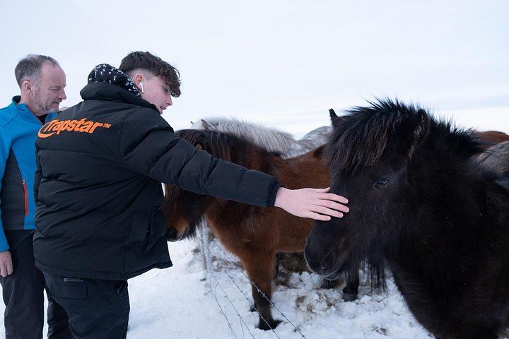 3-Day Private Iceland Tour: Reykjanes, Golden Circle and South Coast (5/12)