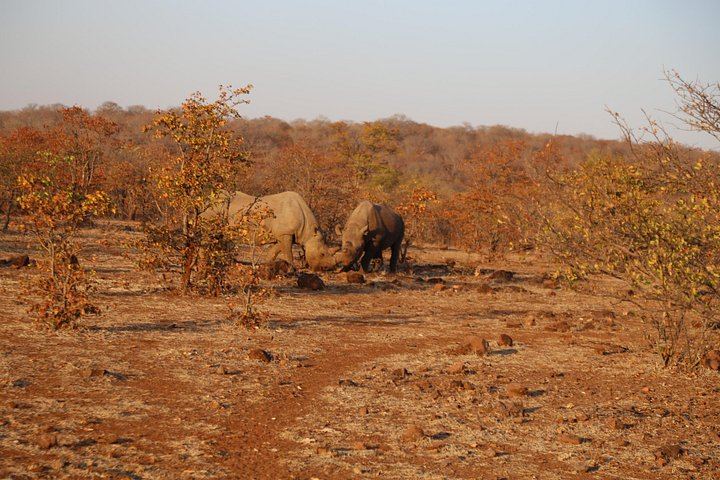 Victoria Falls 3-Day Safari With Zambezi Dinner Cruise and Nakavango Bush BBQ (9/12)