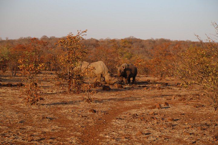 Victoria Falls 3-Day Safari With Zambezi Dinner Cruise and Nakavango Bush BBQ (10/12)