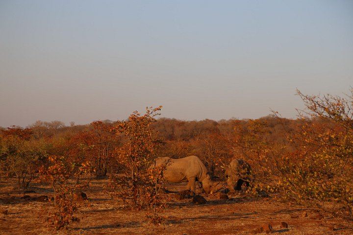 Victoria Falls 3-Day Safari With Zambezi Dinner Cruise and Nakavango Bush BBQ (11/12)