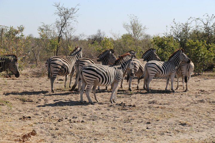 Victoria Falls 3-Day Safari With Zambezi Dinner Cruise and Nakavango Bush BBQ (7/12)