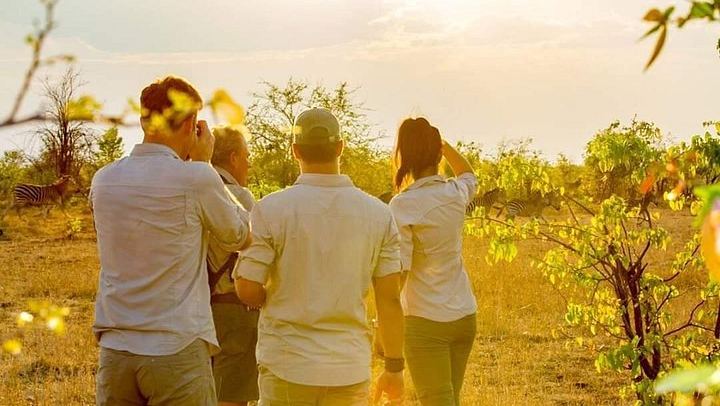 Victoria Falls 3-Day Safari at Shearwater Explorers Village With Lookout Cafe Lunch (4/12)