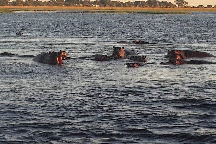 Victoria Falls 3-Day Safari at Shearwater Explorers Village With Lookout Cafe Lunch (6/12)