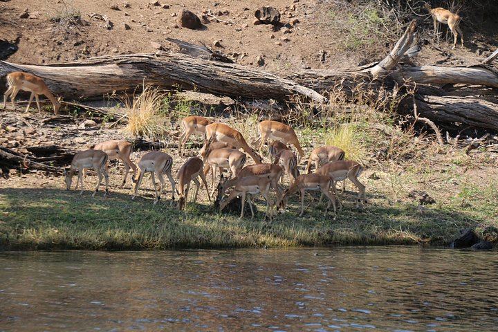 Victoria Falls, Chobe and Hwange 4-Day Safari With Sunrise Falls Tour (12/12)