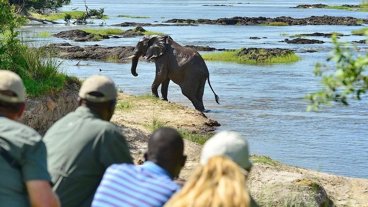 Livingstone and Victoria Falls 4-Day Budget Camping Tour Across Zambia and Zimbabwe (1/4)