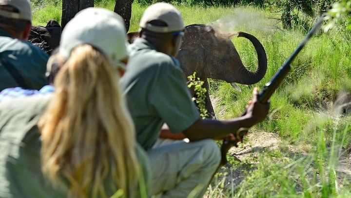 Livingstone and Victoria Falls 4-Day Budget Camping Tour Across Zambia and Zimbabwe (3/4)