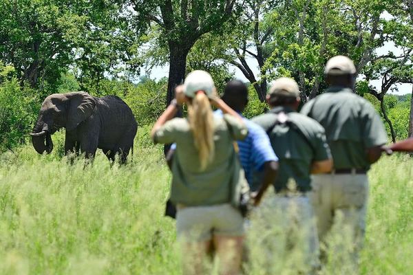 Livingstone and Victoria Falls 4-Day Budget Camping Tour Across Zambia and Zimbabwe