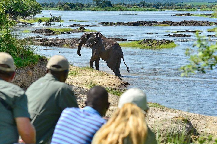 Livingstone and Victoria Falls 4-Day Budget Camping Tour Across Zambia and Zimbabwe (1/4)