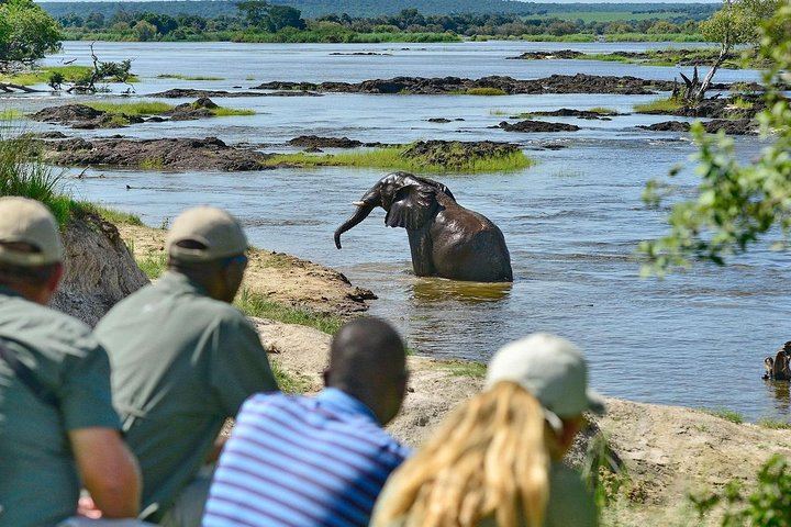 Livingstone and Victoria Falls 4-Day Budget Camping Tour Across Zambia and Zimbabwe (4/4)