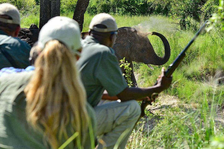 Livingstone and Victoria Falls 4-Day Budget Camping Tour Across Zambia and Zimbabwe (3/4)