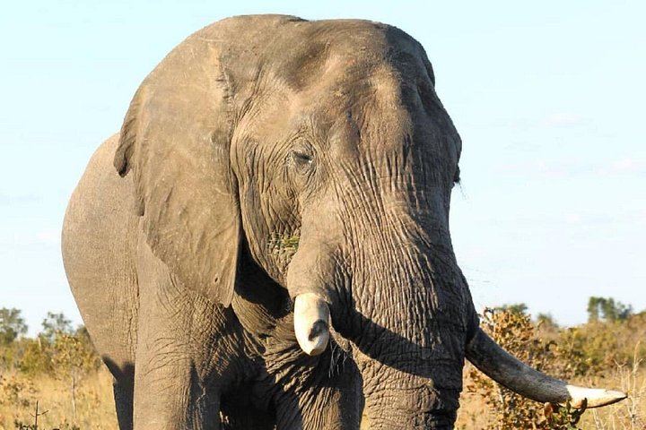 Victoria Falls 4-Day Safari With Helicopter Flight, Boma Dinner and Chobe Day (1/12)