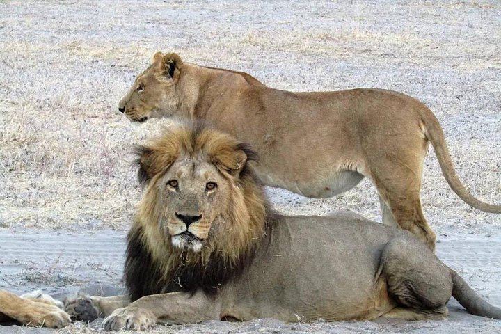 Victoria Falls 4-Day Safari With Helicopter Flight, Boma Dinner and Chobe Day (9/12)