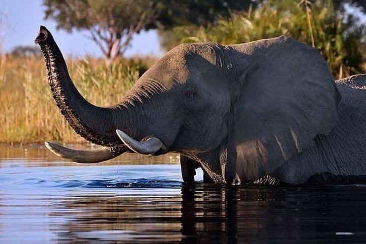 Victoria Falls 4-Day Safari With Helicopter Flight, Boma Dinner and Chobe Day (12/12)