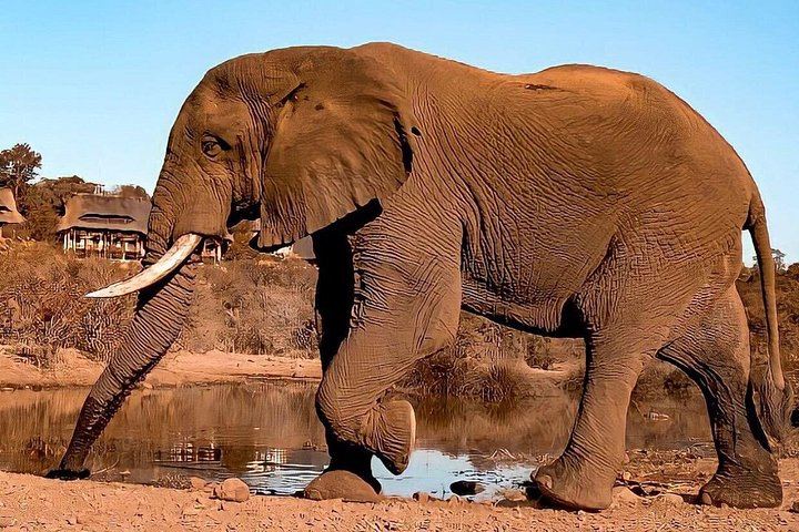 Victoria Falls 4-Day Safari With Helicopter Flight, Boma Dinner and Chobe Day (7/12)