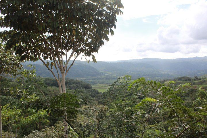 4-Hour ATV Ride to the Private Jaguar Waterfalls, with an El Tigre Lookout Stop (9/10)