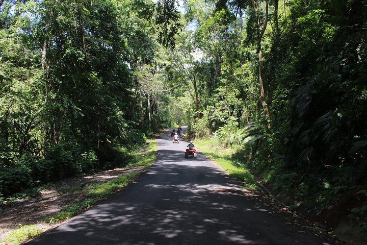 4-Hour ATV Ride to the Private Jaguar Waterfalls, with an El Tigre Lookout Stop (8/10)