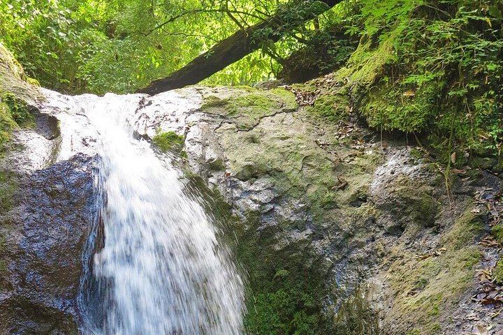 Half-Day 4x4 Jungle Safari from Jaco: Pura Vida Falls and Lunch at Paz del Campo (6/12)