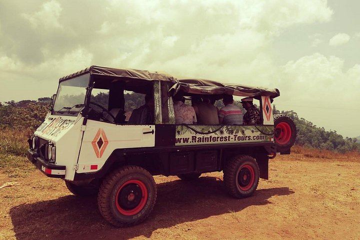 Half-Day 4x4 Jungle Safari from Jaco: Pura Vida Falls and Lunch at Paz del Campo (8/12)