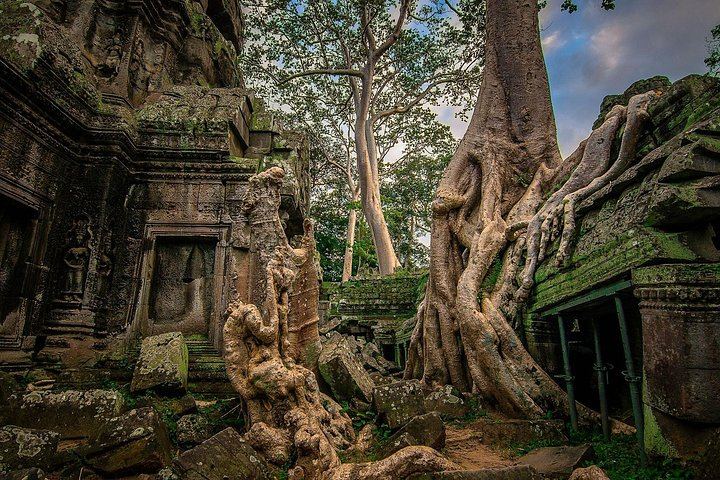 5-Day Angkor Temples, Roluos, Koh Ker, Beng Mealea and Kulen Waterfall Tour with Guide (2/8)