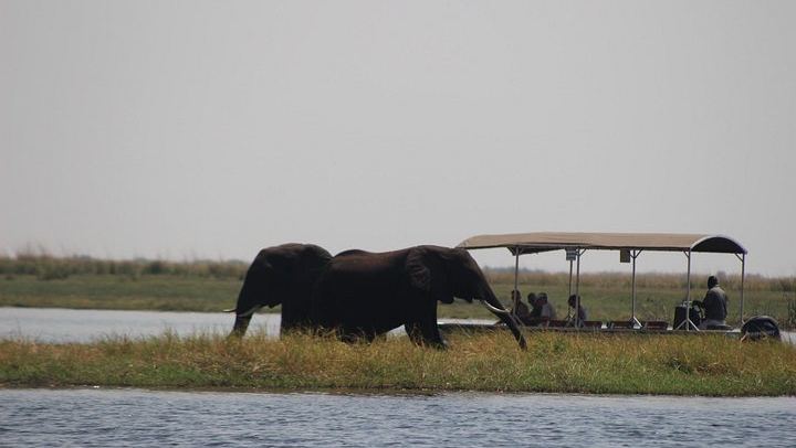 Victoria Falls and Chobe 5-Day Tour at Elephant Hills Hotel With Boma Dinner (3/12)