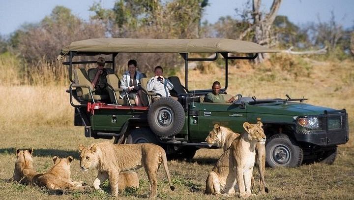 Victoria Falls and Chobe 5-Day Tour at Elephant Hills Hotel With Boma Dinner (2/12)