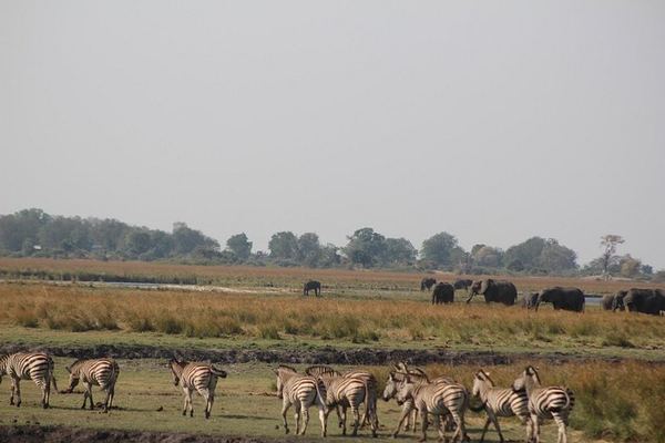 Victoria Falls and Chobe 5-Day Tour at Elephant Hills Hotel With Boma Dinner