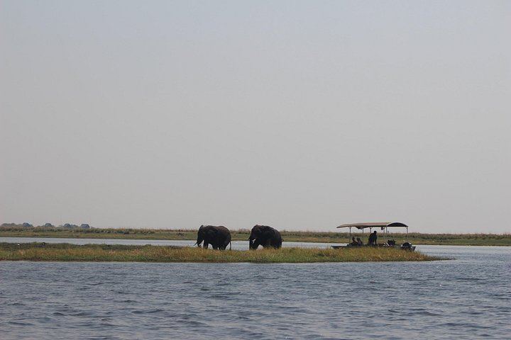 Victoria Falls and Chobe 5-Day Tour at Elephant Hills Hotel With Boma Dinner (4/12)