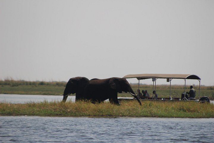 Victoria Falls and Chobe 5-Day Tour at Elephant Hills Hotel With Boma Dinner (3/12)