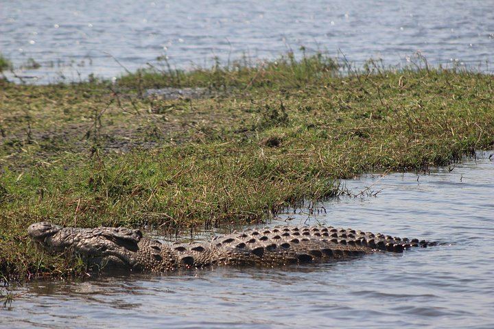 Victoria Falls and Chobe 5-Day Tour at Elephant Hills Hotel With Boma Dinner (6/12)