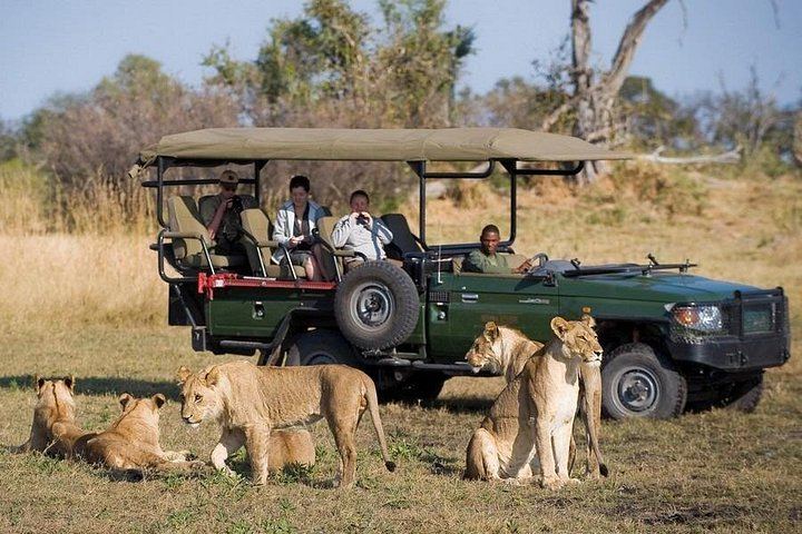 Victoria Falls and Chobe 5-Day Tour at Elephant Hills Hotel With Boma Dinner (2/12)