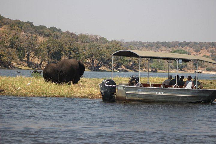 Victoria Falls and Chobe 5-Day Tour at Elephant Hills Hotel With Boma Dinner (7/12)