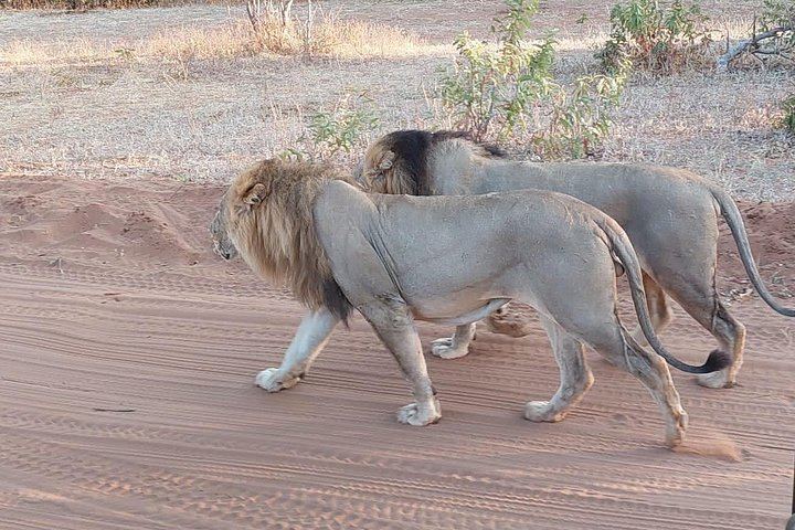 Victoria Falls, Chobe, Makgadikgadi and Okavango Delta 6-Day Overland Safari (1/12)