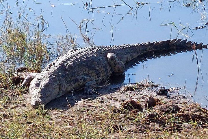 Victoria Falls, Chobe, Makgadikgadi and Okavango Delta 6-Day Overland Safari (4/12)